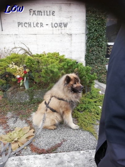 4.4.2026 - Grabbesuch